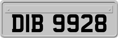 DIB9928