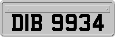 DIB9934