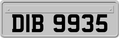DIB9935