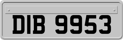 DIB9953