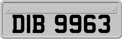 DIB9963