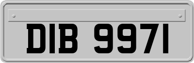 DIB9971