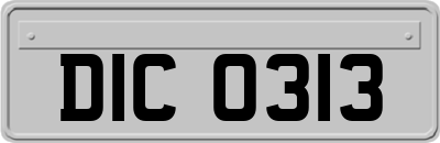 DIC0313
