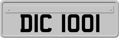 DIC1001