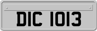 DIC1013