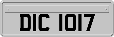 DIC1017