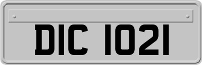 DIC1021