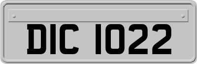 DIC1022