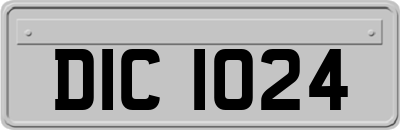 DIC1024