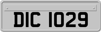 DIC1029