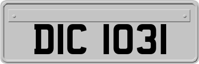 DIC1031
