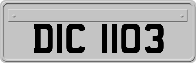 DIC1103