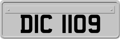 DIC1109