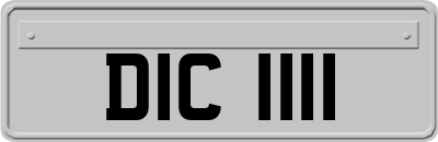 DIC1111