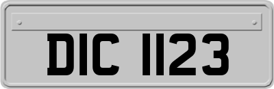 DIC1123