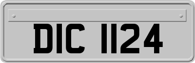 DIC1124