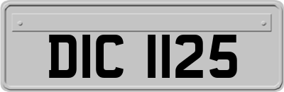 DIC1125