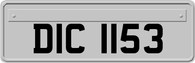 DIC1153