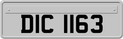 DIC1163