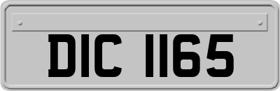 DIC1165