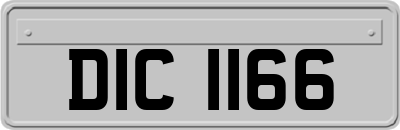 DIC1166