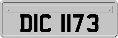 DIC1173