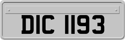 DIC1193
