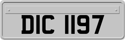 DIC1197