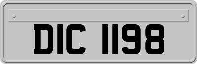 DIC1198