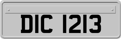 DIC1213