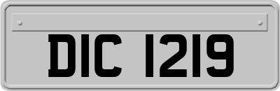 DIC1219