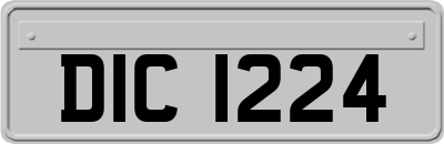 DIC1224