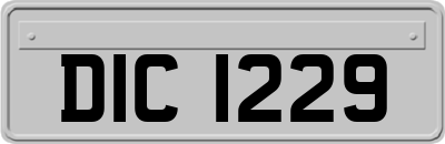 DIC1229