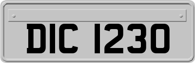 DIC1230
