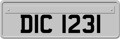 DIC1231