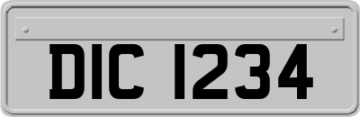 DIC1234