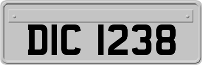 DIC1238