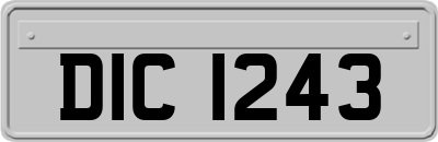 DIC1243