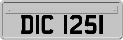 DIC1251