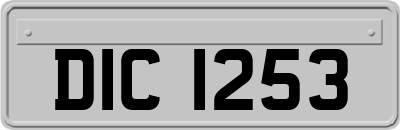 DIC1253