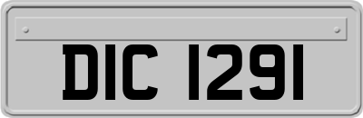 DIC1291