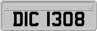DIC1308