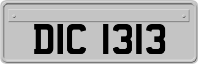 DIC1313