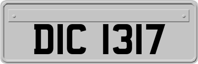 DIC1317
