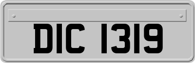 DIC1319