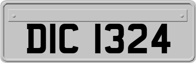 DIC1324