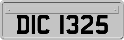 DIC1325