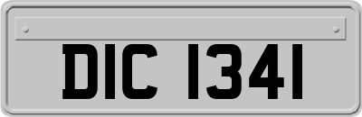 DIC1341