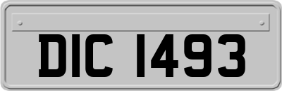 DIC1493