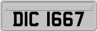 DIC1667